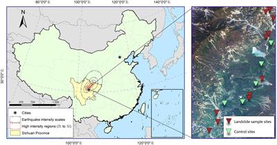 Abiotic Regulation: Landslide Scale and Altitude Regulate Functional Traits of Regenerating Plant Communities After Earthquakes